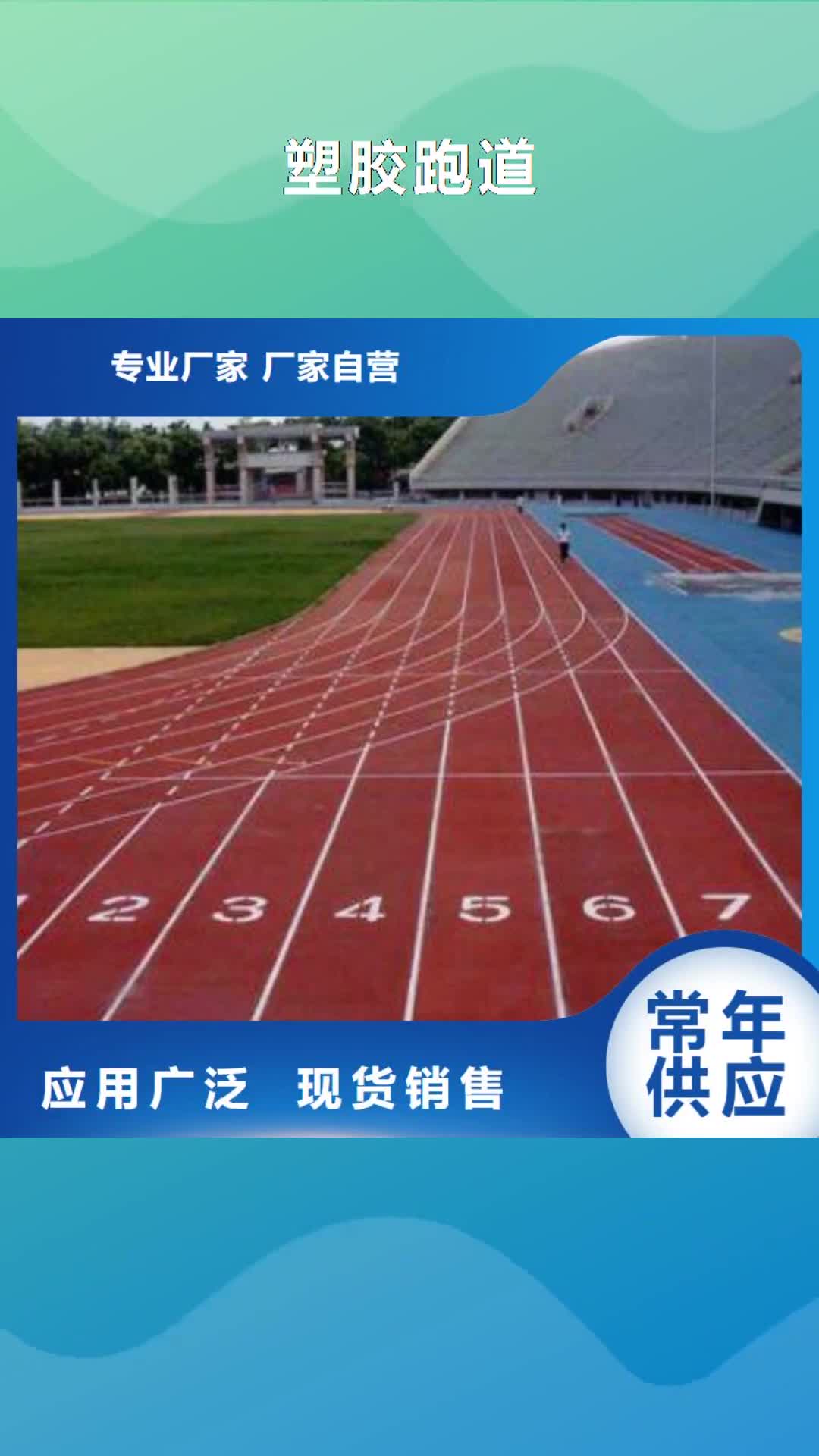 林芝【塑胶跑道】  塑胶球场施工厂家拥有先进的设备