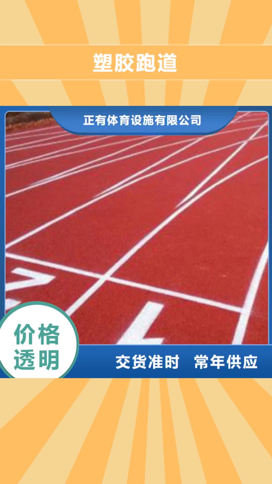 【泸州 塑胶跑道 球场施工公司好品质选我们】