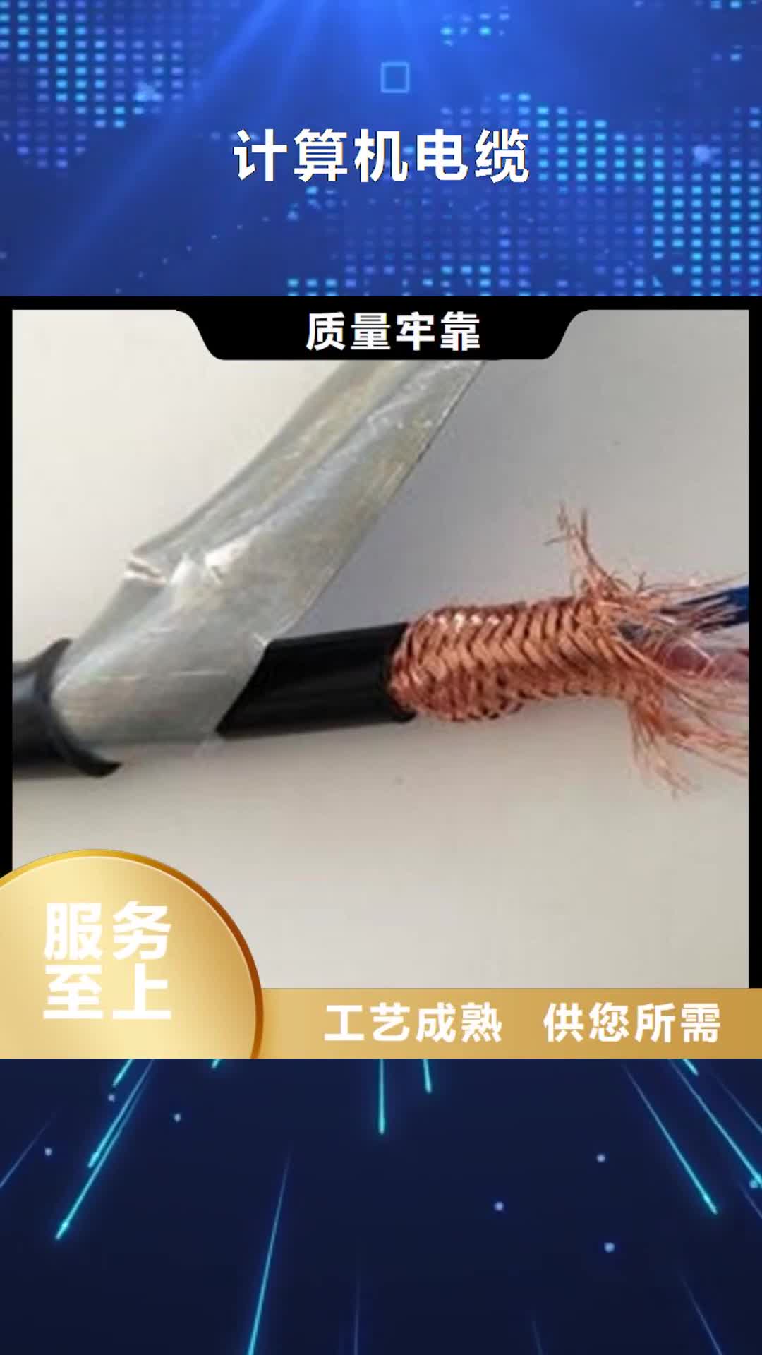 【北海 计算机电缆,电缆生产厂家优选好材铸造好品质】