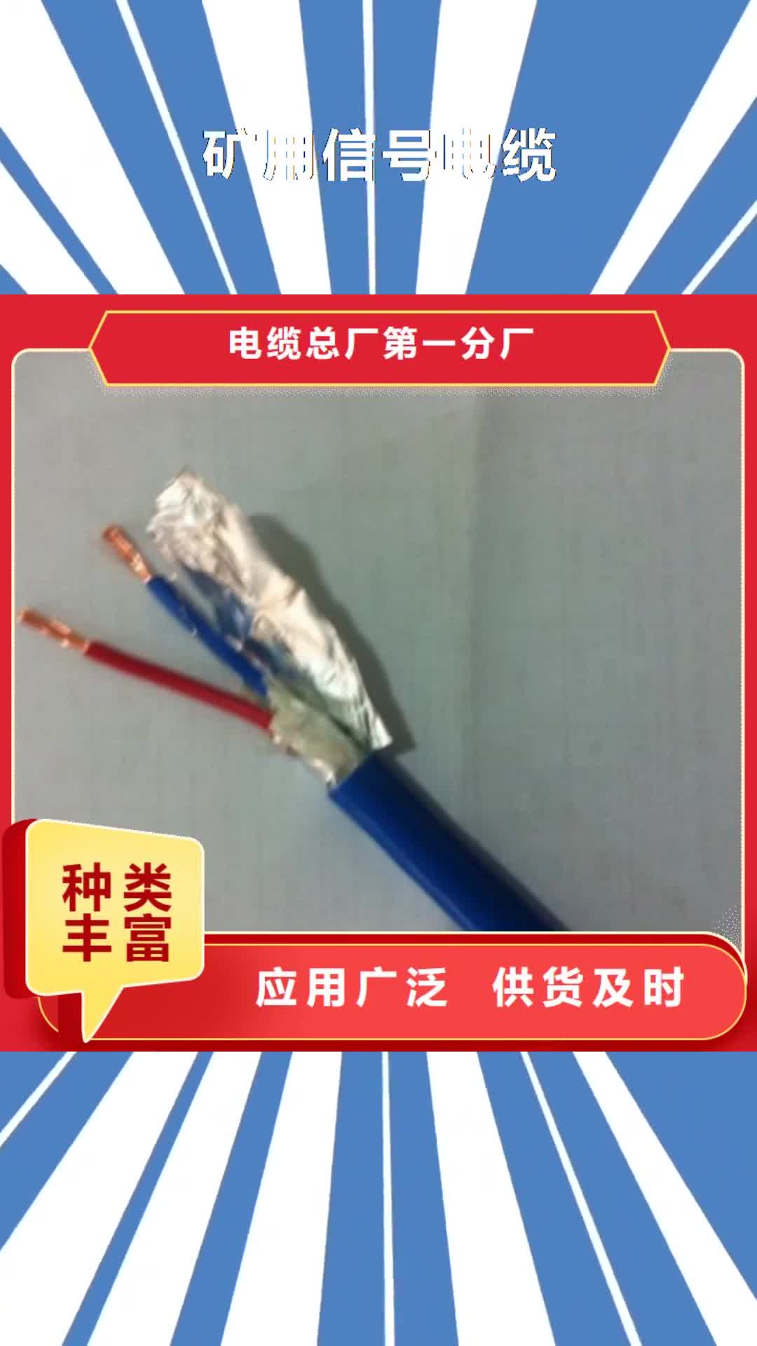 【阿里 矿用信号电缆 矿用电缆匠心品质】