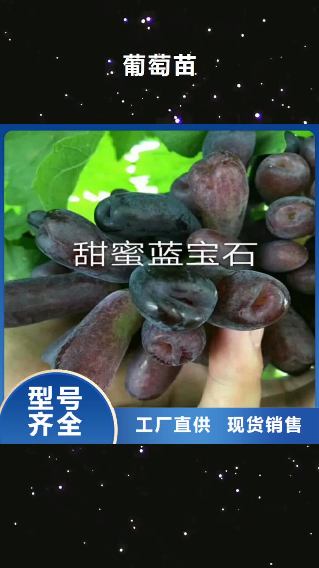 【黄南 葡萄苗 樱桃苗货源充足】