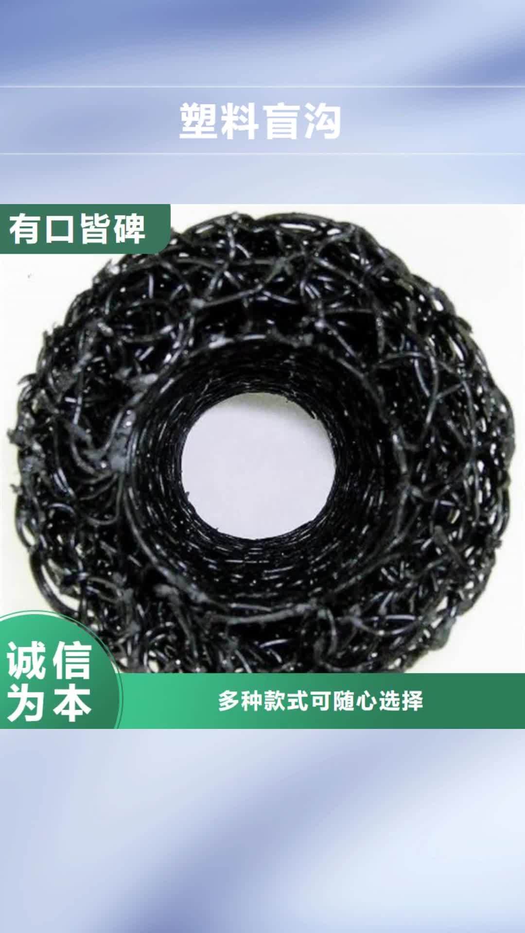 保山【塑料盲沟】塑料排水板支持加工定制