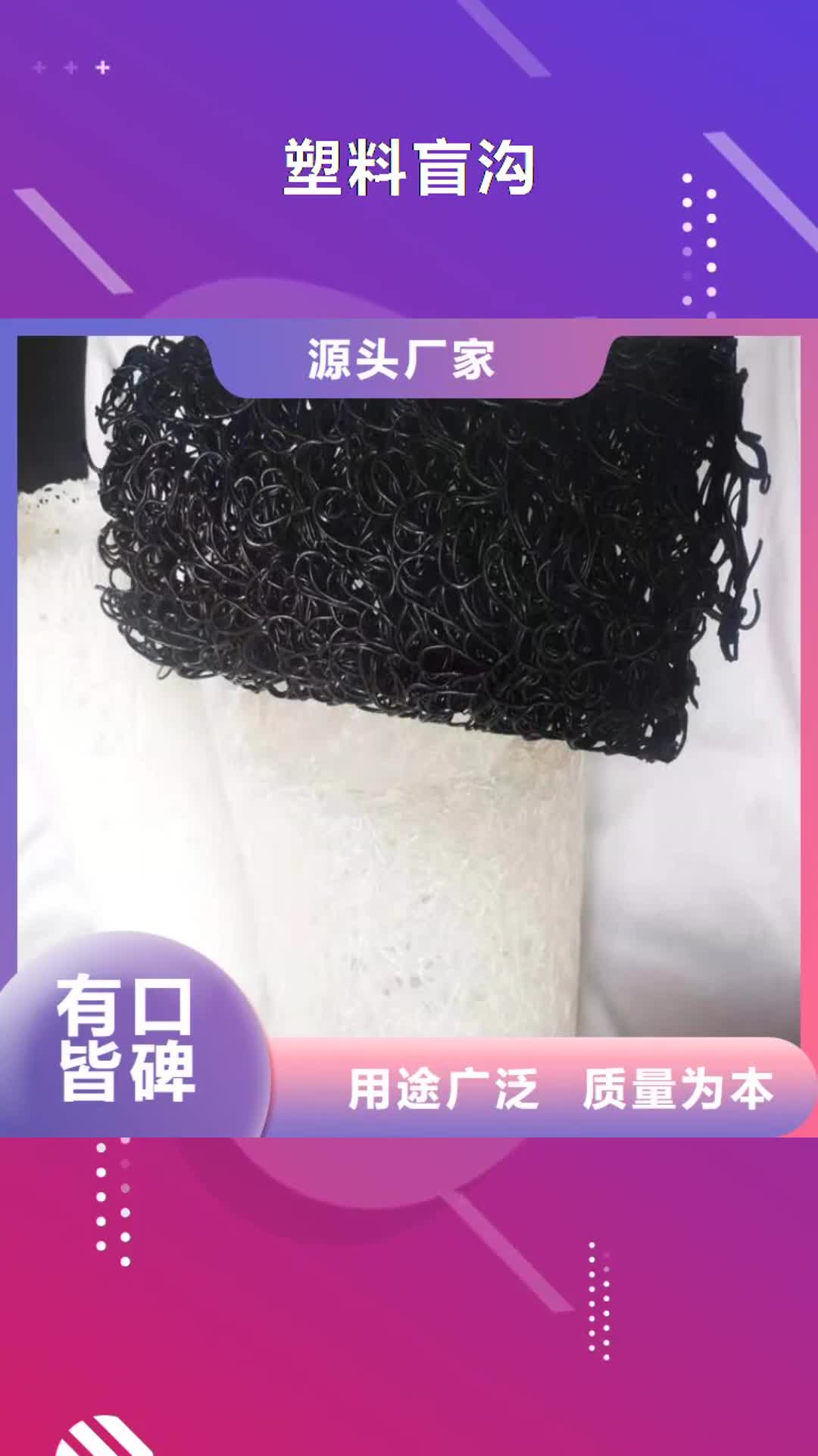 【丹东 塑料盲沟土工膜厂家自营】