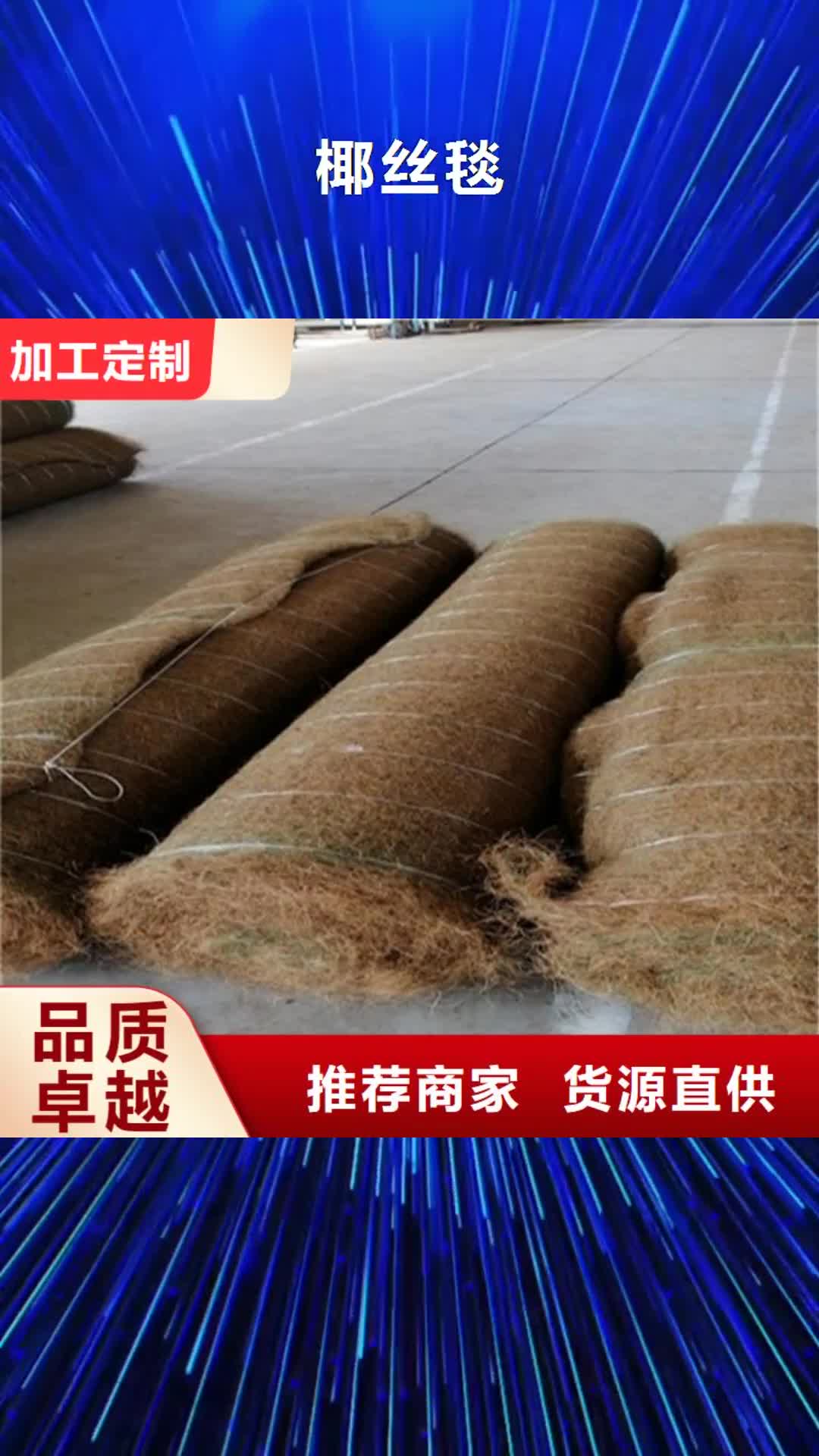 【鄂尔多斯 椰丝毯 三维植被网现货充足量大优惠】