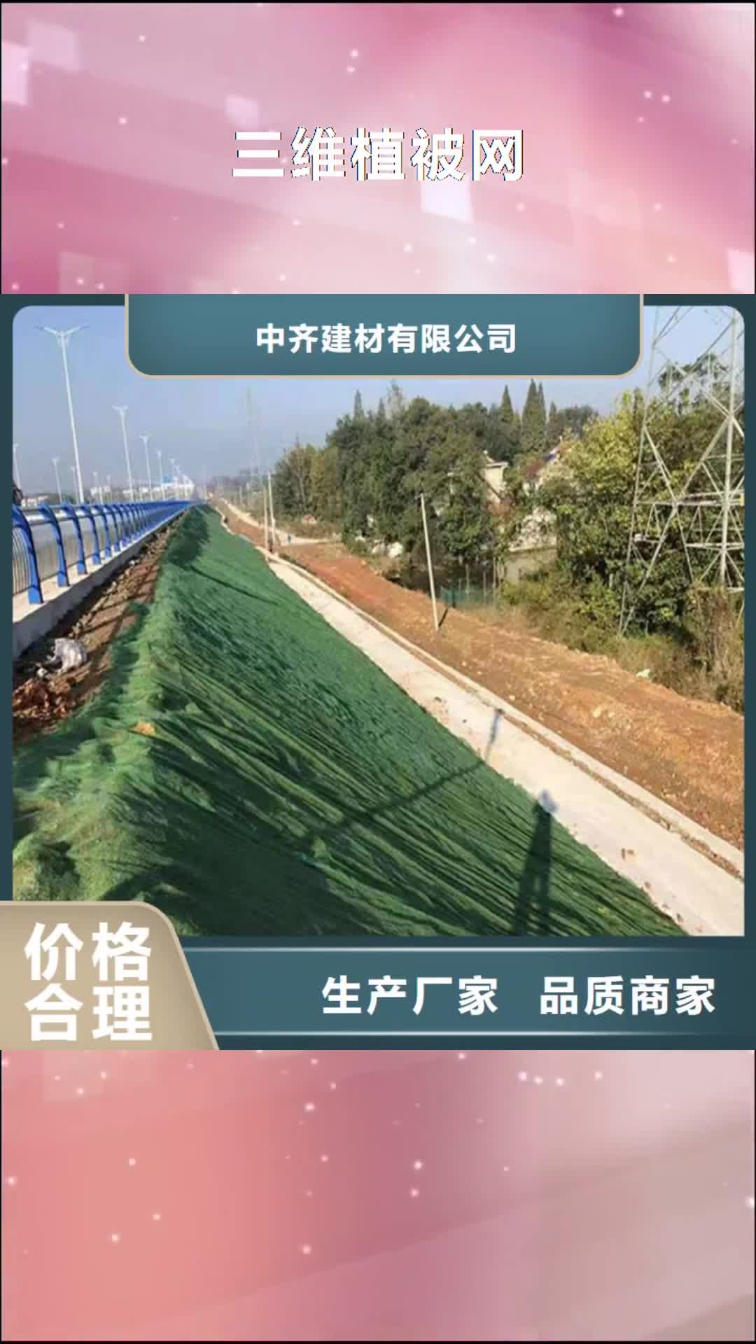 商洛【三维植被网】-土工布厂家直营