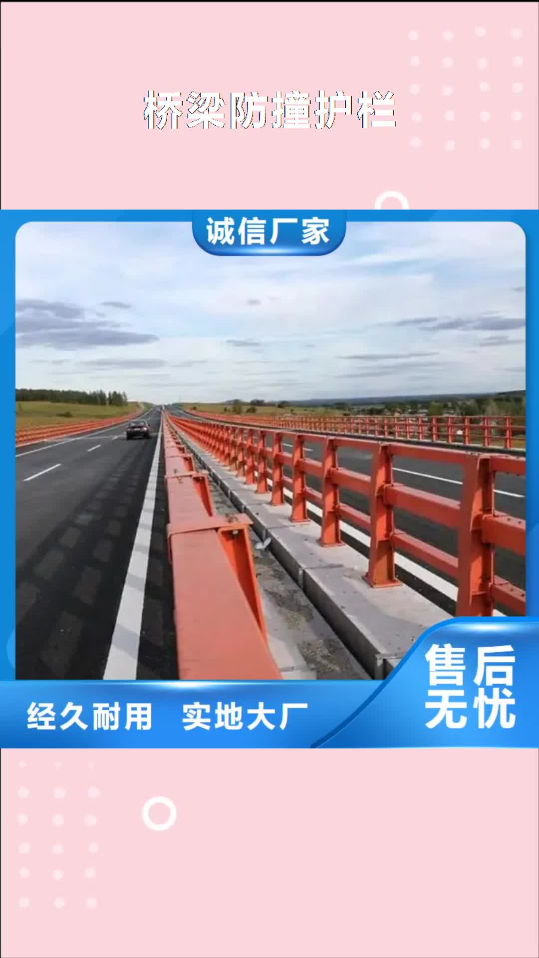 周口【桥梁防撞护栏】 不锈钢灯光护栏懂您所需